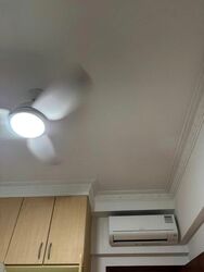 Carissa Park Condominium (D17), Condominium #559395321